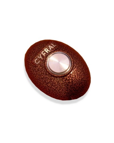 Кнопка открывания двери Цифрал КОДсП-4 в Самаре Многоабонентные устройства Pintop.ru