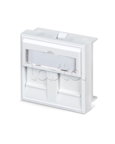 Вставка 45x45 (аналог Mosaic) для 2 модулей формата Keystone Jack Cabeus FP-45-2M в Самаре Модули Keystone Pintop.ru