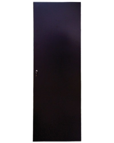 Дверь задняя для шкафов серии Business металл, 47U, ширина 600 мм TWT TWT-CBB-DRM1-47U-6 в Самаре Аксессуары для стоек и шкафов Pintop.ru