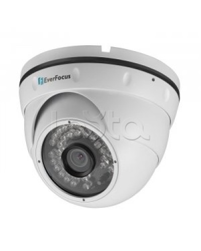 IP-камера видеонаблюдения купольная EverFocus ACE-IAV30 в Самаре IP-камеры Pintop.ru