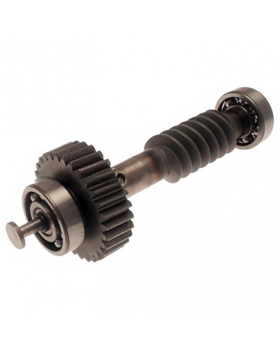 Червяк редуктора FAST в сборе Came 119RID228 в Самаре Запчасти для шлагбаумов и автоматики Pintop.ru