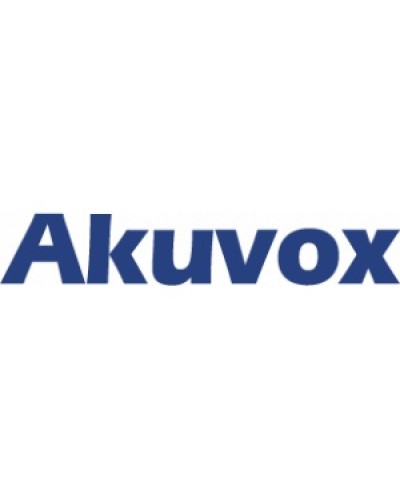 IP монитор (интерком-панель) Akuvox C313S_V2 в Самаре Абонентские IP устройства Pintop.ru