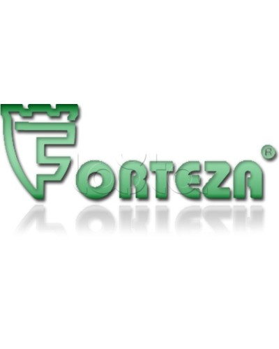 Плата сменная Forteza Плата БГр-4 в Самаре Устройства защиты операционных процессоров (ОПС) Pintop.ru