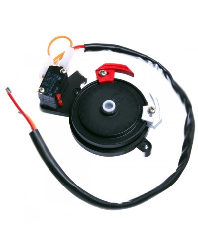 Концевые микровыключатели в сборе BX-243 Came 119RIBX041 в Самаре Запчасти для шлагбаумов и автоматики Pintop.ru