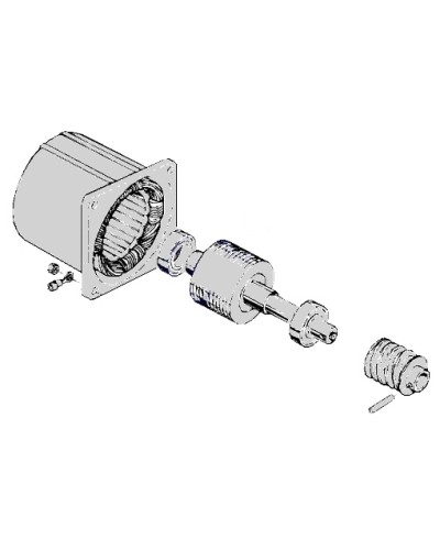 Электродвигатель С-100 Came 119RIC052 в Самаре Запчасти для шлагбаумов и автоматики Pintop.ru