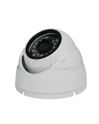 Камера видеонаблюдения купольная EverFocus ACE-IAB20XHD в Самаре Аналоговые камеры Pintop.ru