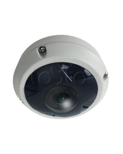 IP-камера видеонаблюдения купольная EverFocus ACE-KU89F в Самаре IP-камеры Pintop.ru