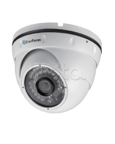 IP-камера видеонаблюдения уличная купольная EverFocus EBN-268 в Самаре IP-камеры Pintop.ru