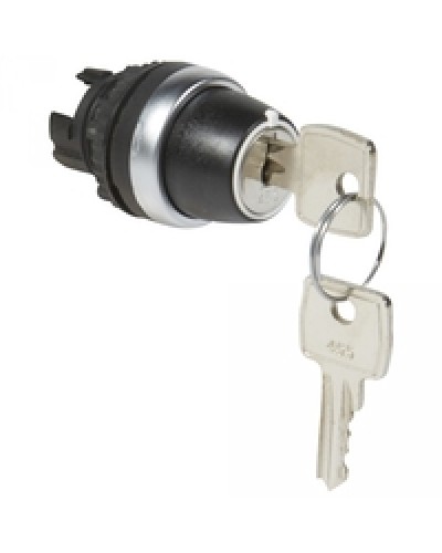 Переключатель с ключом № 455 Osmoz для комплектации без подсветки Legrand 023955 в Самаре Дополнительное оборудование для СКУД Pintop.ru