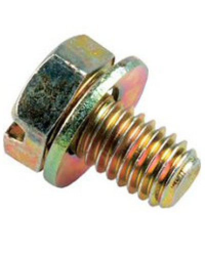 Винт с шайбой М6х10мм TH Legrand 036775 в Самаре Крепеж Pintop.ru