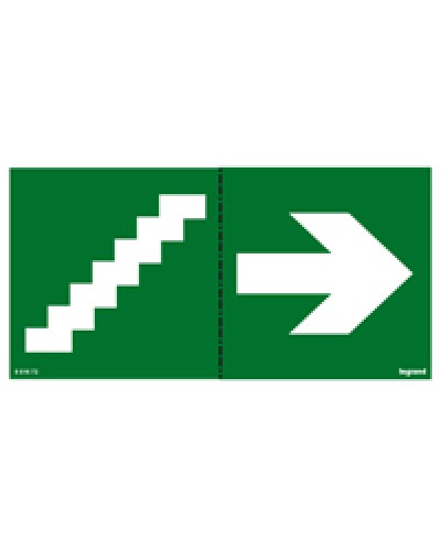 Пиктограмма 100х200 лестница стрелка Legrand 661672 в Самаре Дополнительное оборудование для ОПС Pintop.ru