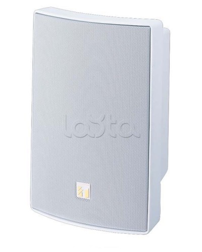 Громкоговоритель универсальный двухполосный TOA BS-1030W в Самаре Системы оповещения и трансляции TOA Pintop.ru