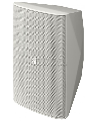 Громкоговоритель 2 полосный TOA F-2000 WT в Самаре Системы оповещения и трансляции TOA Pintop.ru