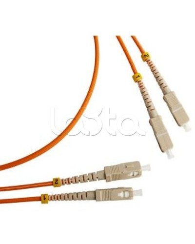 Патч-корд оптический TWT-2SC-2ST/SAU-7.0 в Самаре Патч-корды оптические Pintop.ru