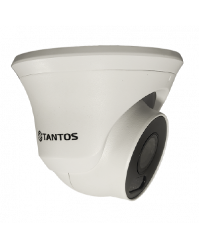 IP-видеокамера в купольном исполнении уличная Tantos TSi-Beco45FP в Самаре IP-камеры Pintop.ru