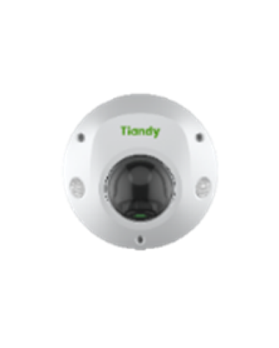 Купольная IP-камера Tiandy TC-C32PS Spec:I3/E/Y/M/H/4mm/V4.2 в Самаре IP-камеры Pintop.ru