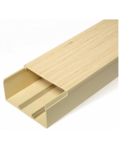 Кабель-канал сосна 2-й замок в п/э 100х60 (8 м/уп) Промрукав (PR03.0192) в Самаре Кабель-канал Pintop.ru