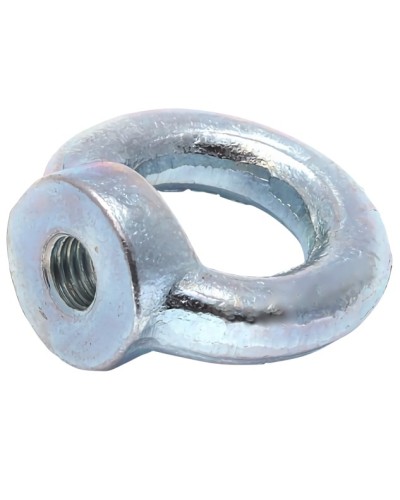 Рым-гайка М12 DIN 582 (20 шт/уп) Промрукав (PR08.3906) в Самаре Крепеж Pintop.ru