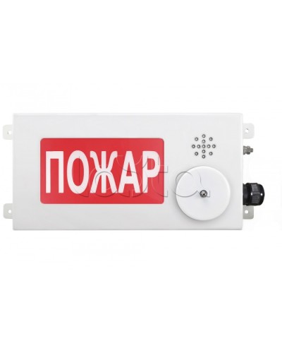 Табло светозвуковое взрывозащищенное Спектрон ТСЗВ-Exm-М-Прометей-МИНИ 220В в Самаре Оповещатели Ex Pintop.ru